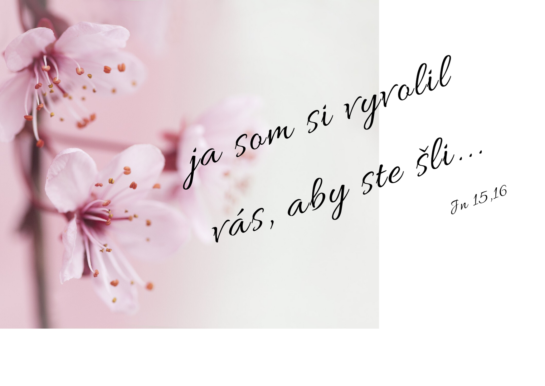 „… ja som si vyvolil vás, … aby ste išli…“ Jn 15,16